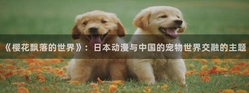 樱花漫画免费版怎么用